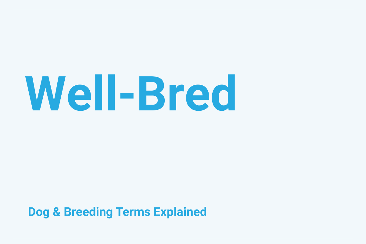 Well-Bred: Dog & Breeding Term Explained