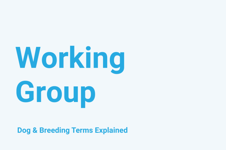 Working Group: Dog & Breeding Term Explained