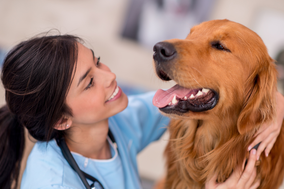 How Often Should You Worm Your Dog?