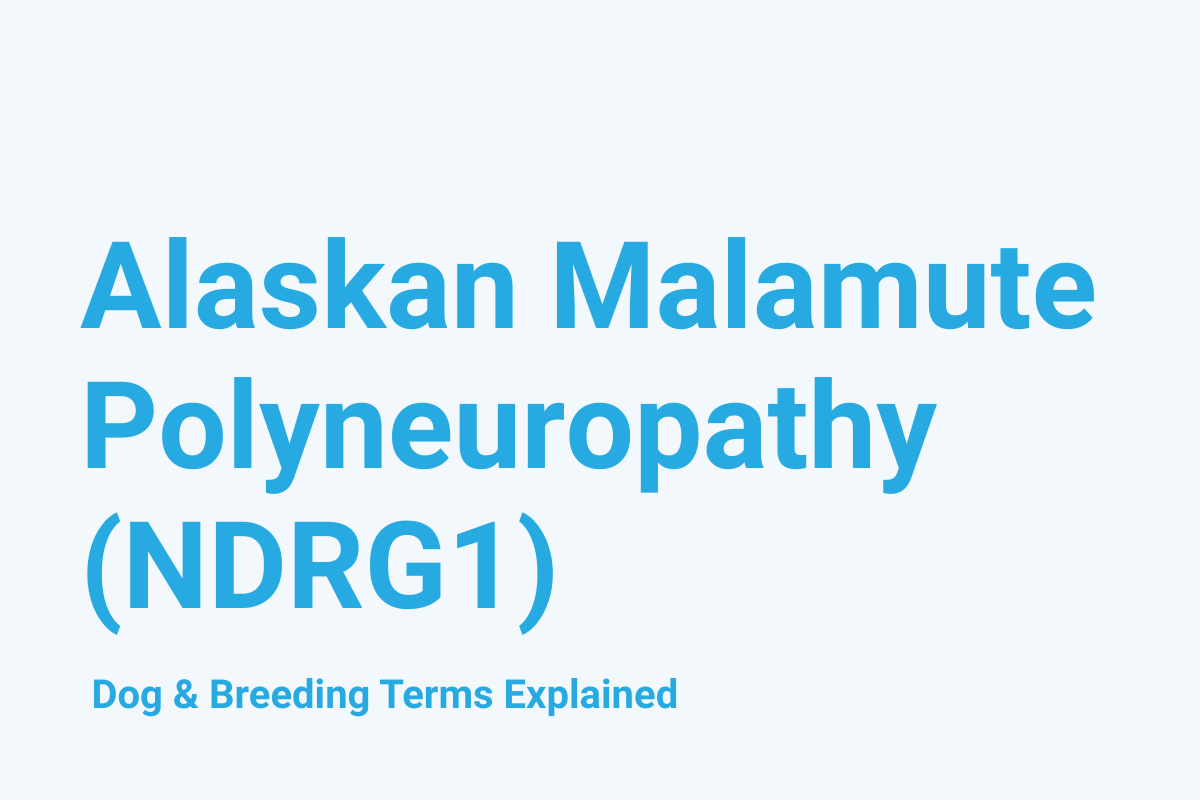 Alaskan Malamute Polyneuropathy (NDRG1): Dog & Breeding Term Explained