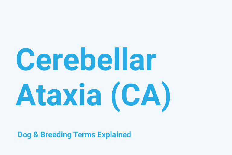 Cerebellar Ataxia (CA) (American Staffordshire Terrier Type): Dog & Breeding Term Explained