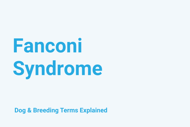 Fanconi Syndrome: Dog & Breeding Term Explained