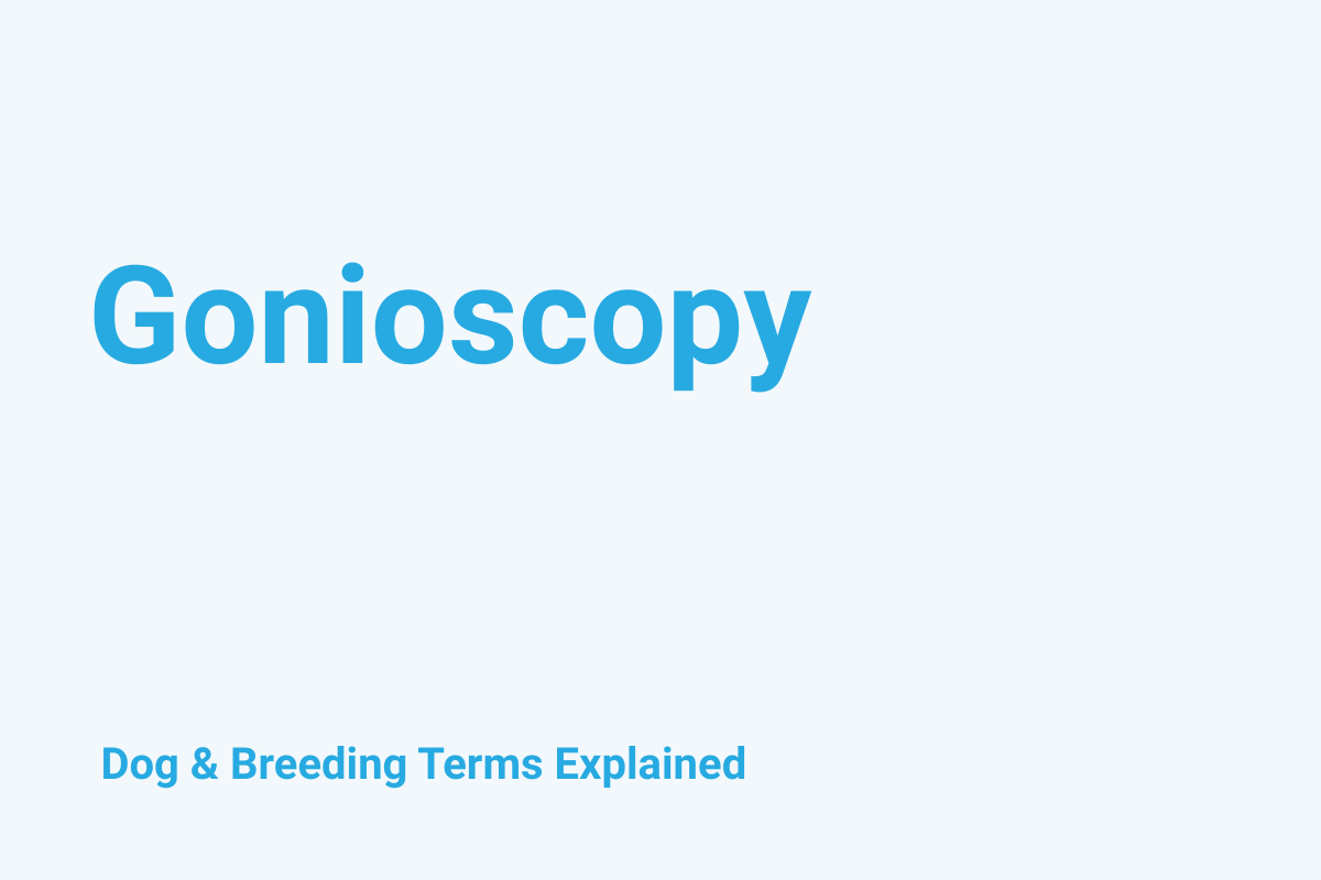 Gonioscopy: Dog & Breeding Term Explained