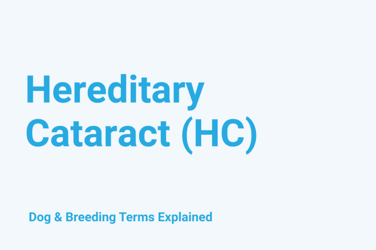 Hereditary Cataract (HC): Dog & Breeding Term Explained