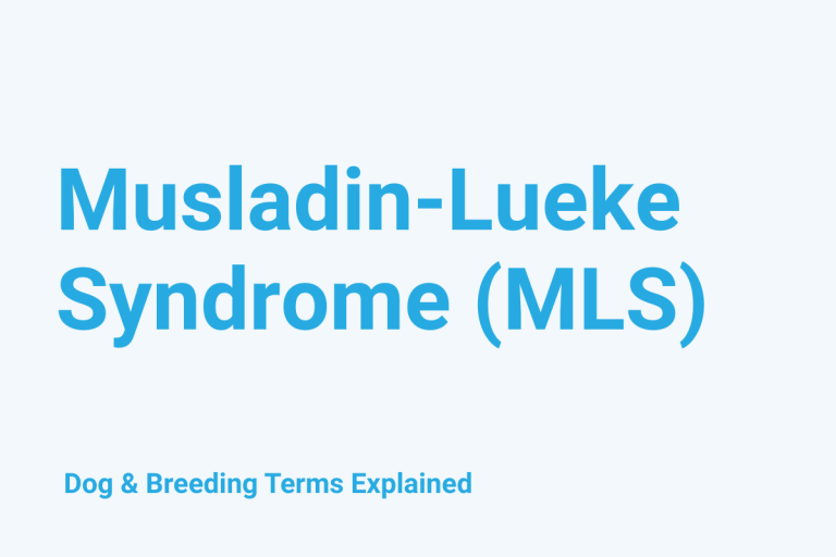 Musladin-Lueke Syndrome (MLS): Dog & Breeding Term Explained