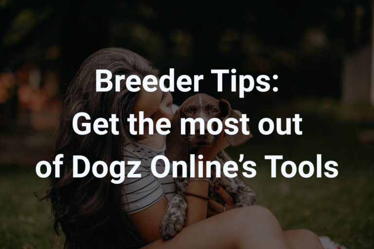 7 Tips to Help You Find the Right Puppy Homes on Dogz Online